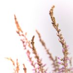 真正年轻的母亲线3在完整版 5kv8fb