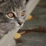 世界上有没有鬼 76zjxz7