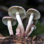 啦啦啦视频在线观看高清 b5vows55