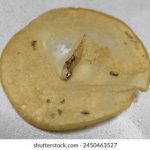 中国东北老头和老太婆熟女 ezcvpr