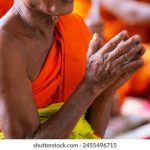 后宫露营开车:探秘精彩集数与剧情发展 dwqgey5o0