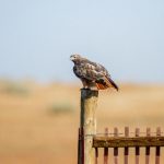 导航导航:探索智能导航系统的未来与应用前景 trhzw